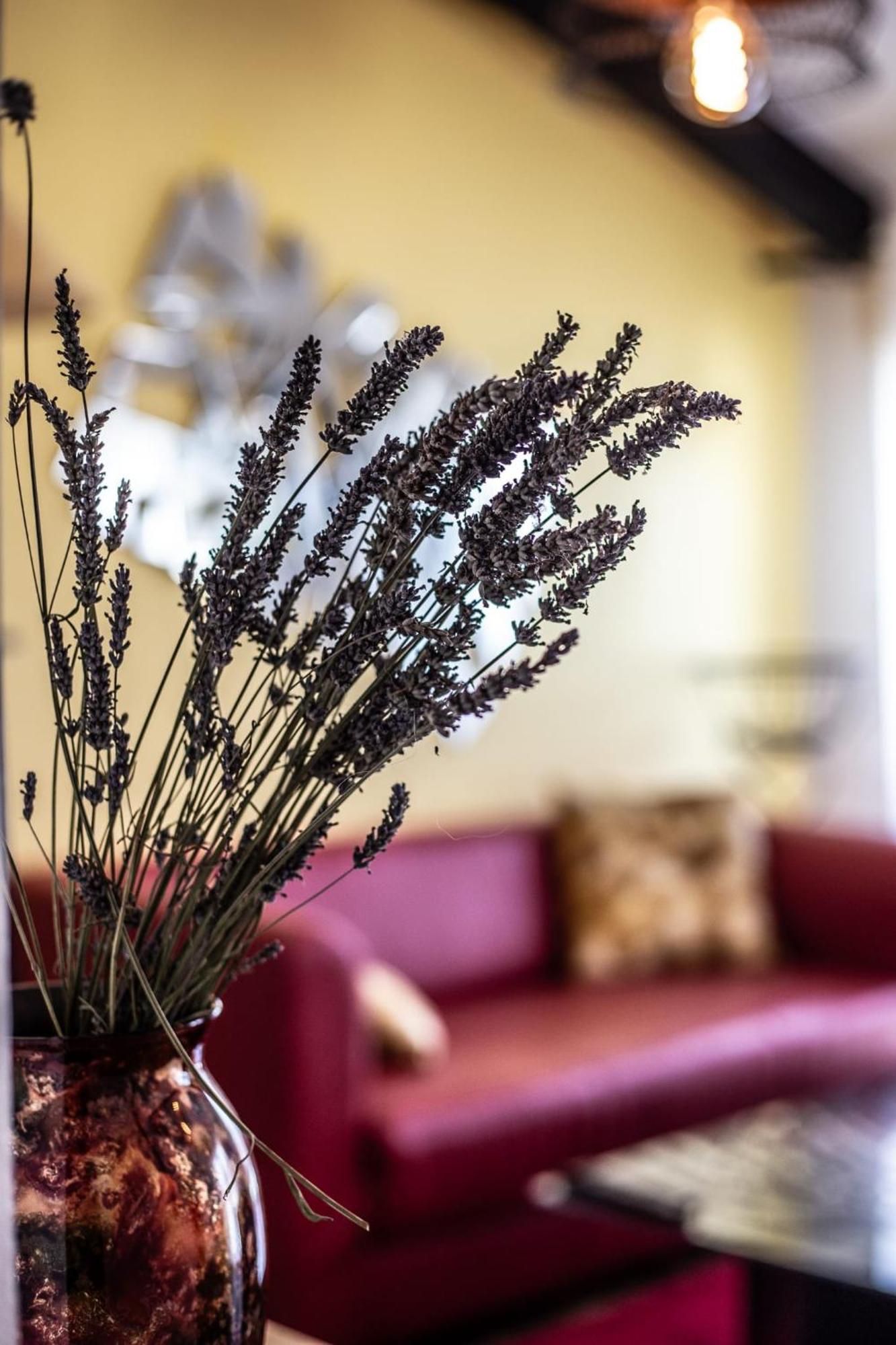 Le Dupe Aparthotel Brissac-Quince Buitenkant foto